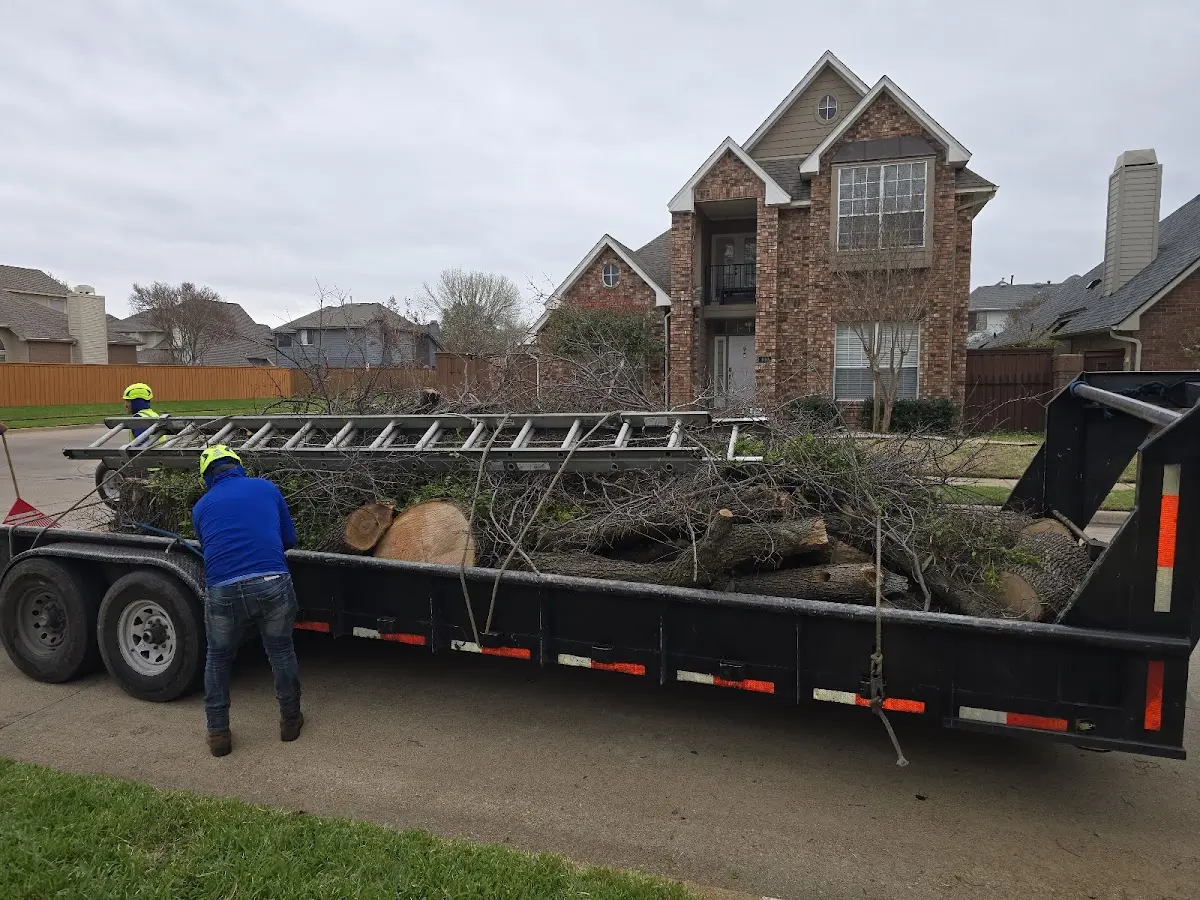 Expert Tree Fertilization with proper safety equipment in Tonganoxie